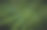 热带棕榈叶背景。夏季热带叶。异国情调的夏威夷丛林，夏季派对设计时髦的海报，传单，横幅，卡片，封面，小册子。图片下载