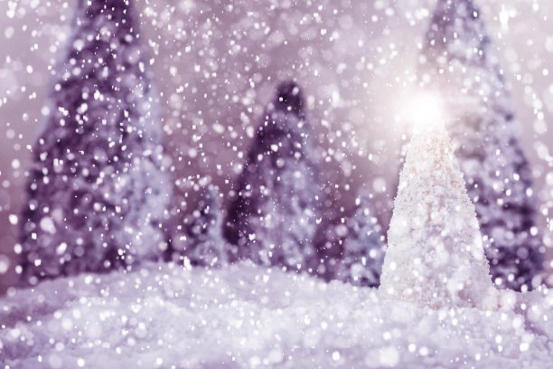 下雪的森林图片下载