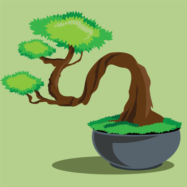 盆景在盆中绿色的背景图片下载