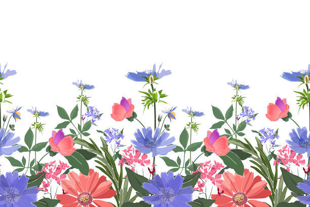 花无缝边界夏季花图片下载