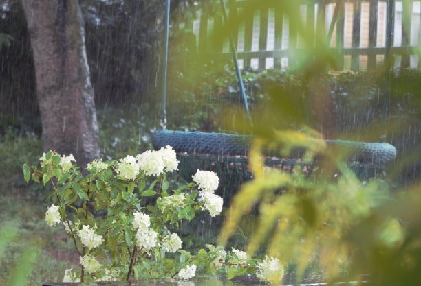 雨图片下载