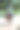 年轻漂亮的女孩在骑马训练过程中图片下载