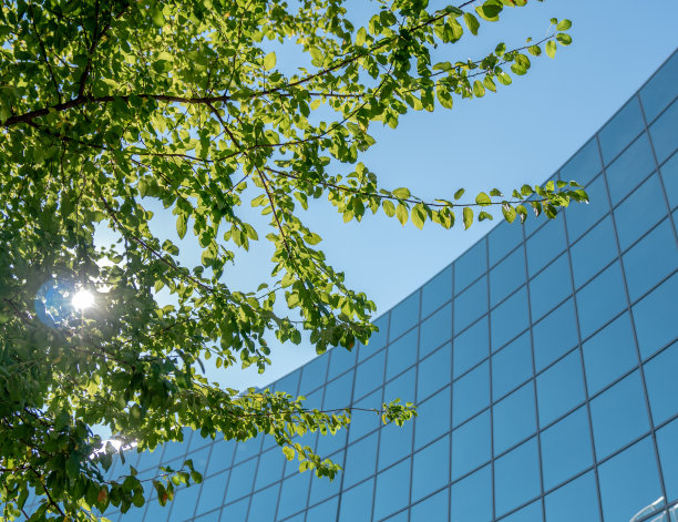 高大的建筑蓝色的镜子旁边的自然，绿色的树木留下现代和自然图片下载