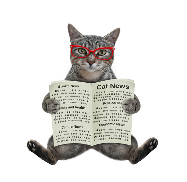 Cat gray拿着报纸图片下载