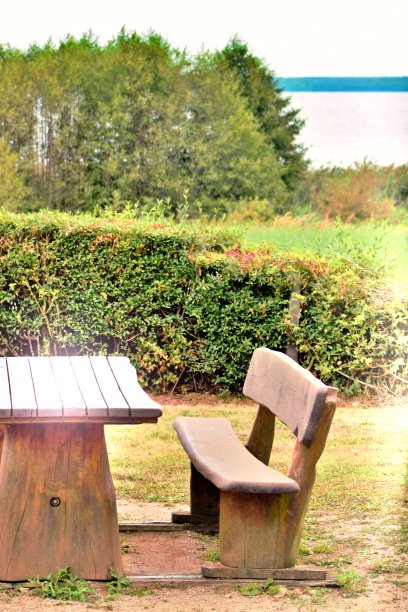 可以看到湖的景色图片下载