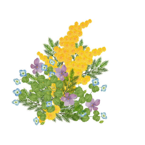 含羞草和春天的花朵图片下载