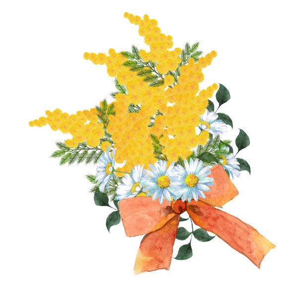 含羞草和雏菊花束图片下载