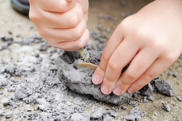 在童年早期的假期里，孩子们喜欢在家进行考古挖掘。有选择性的重点图片下载