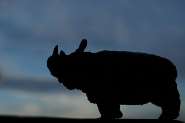 犀牛玩具轮廓图片下载