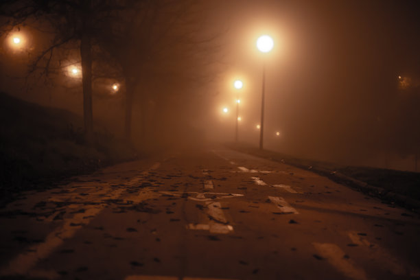 浓雾弥漫的自行车道。晚上的照片。圣诞节图片下载