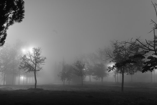 浓雾。晚上的照片。圣诞节。图片下载