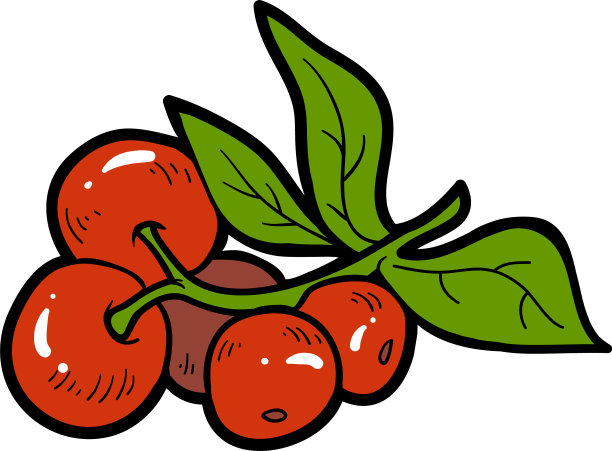彩色图像卡通浆果蔓越莓图片下载