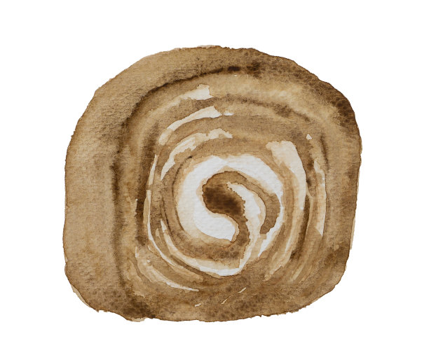 单棕色巧克力山药卷蛋糕烘焙和甜白色奶油浇头，甜点绘画对象孤立在白色背景与剪切路径图片下载