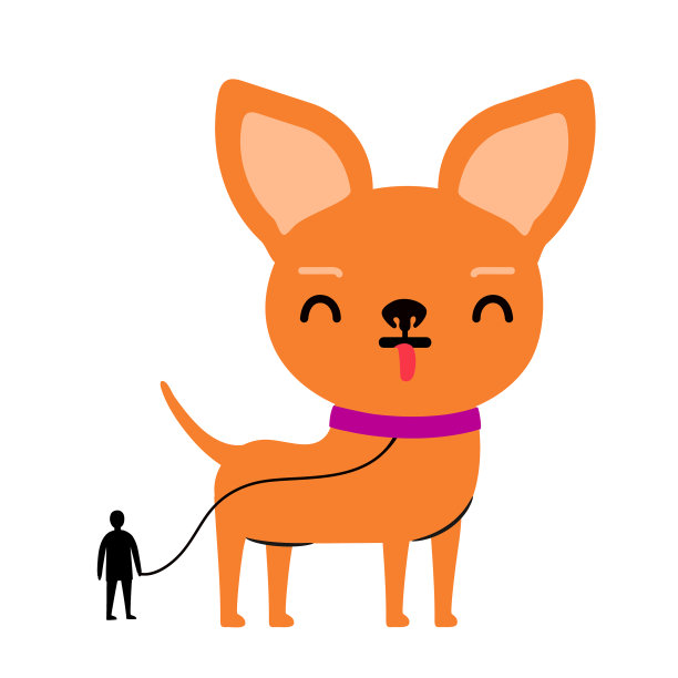 牵着大吉娃娃狗和一个小男人图片下载