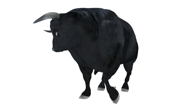 黑色公牛孤立的白色背景3d插图图片下载
