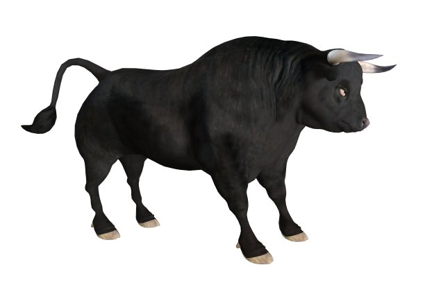 黑色公牛孤立的白色背景3d插图图片下载
