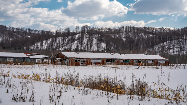 假期的照片图片下载