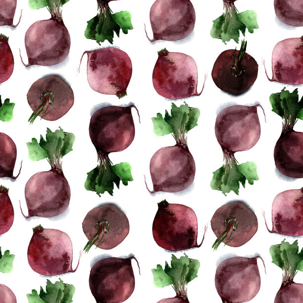 无缝模式的水彩甜菜在白色的背景图片下载