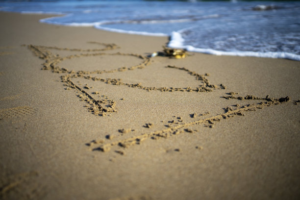 2021年手绘在夏季沙滩的背景上图片下载