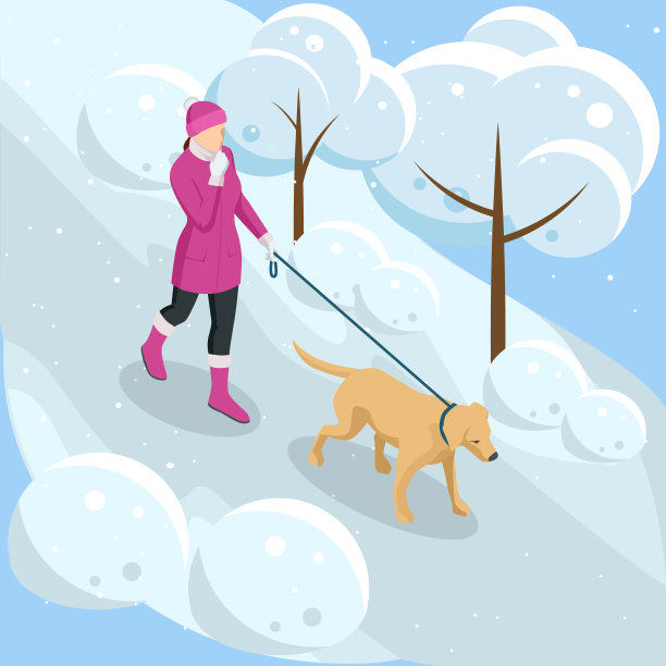 身材匀称的女孩穿着便服，牵着金毛犬在公园里散步。季节冬、春、夏、秋。宠物护理概念。前视图图片下载