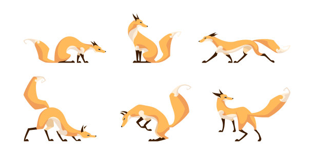 红狐狸。一组可爱优雅的狐狸。图片下载