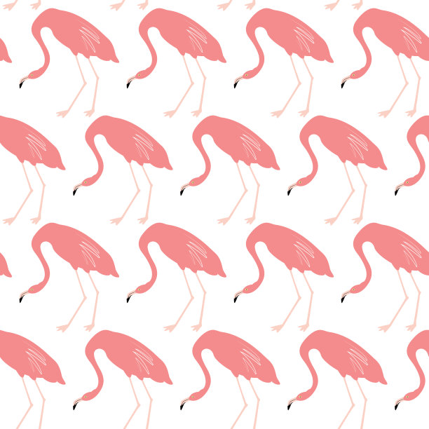 无缝图案与红色火烈鸟。动物图案。图片下载