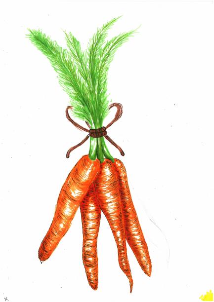 胡萝卜图片下载