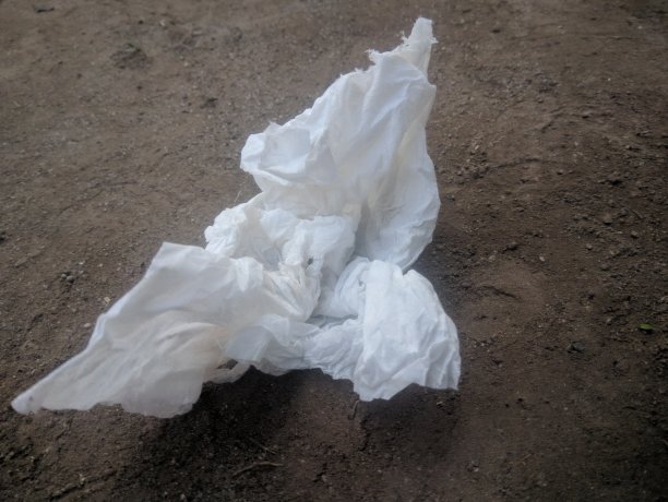 脏组织图片下载