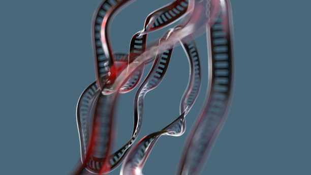 运动中的DNA分子图片下载