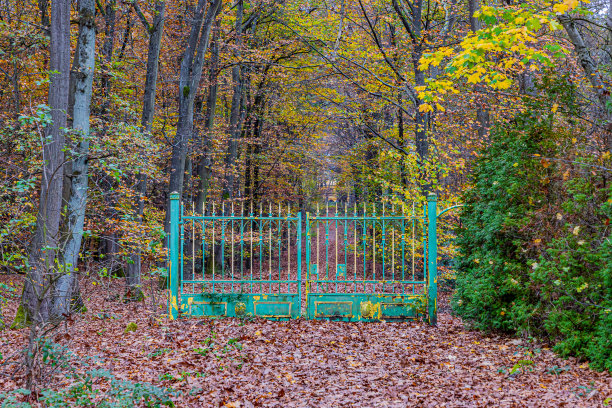 小路上有一扇锈迹斑斑的废弃铁门，绿里泛黄，树上长满了黄绿色的树叶，地上长满了秋天的落叶图片下载
