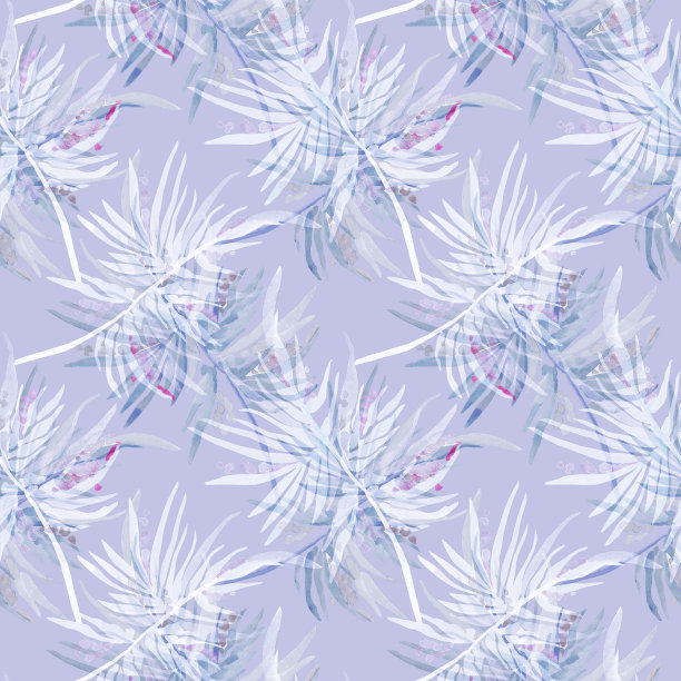 冷杉分支模式图片下载