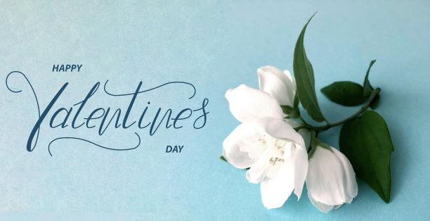 情人节快乐!贺卡，在线横幅，贺卡，情人节平躺，在一个蓝色的背景图片下载