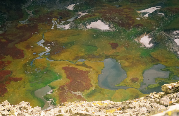 大自然是春天的阿尔泰。山上融化的雪。图片下载