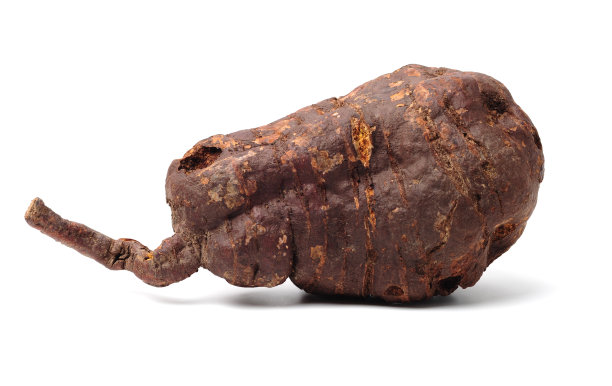 中药何首乌图片下载