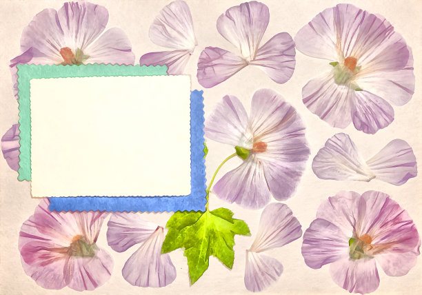 旧相册中的一页。水彩风格的Lavatera花。质地，包装图案或问候，卡片，明信片。数字成油画。水彩绘画。剪贴簿元素。图片下载