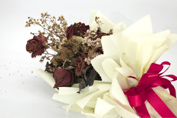 干玫瑰在情人节白色的背景图片下载