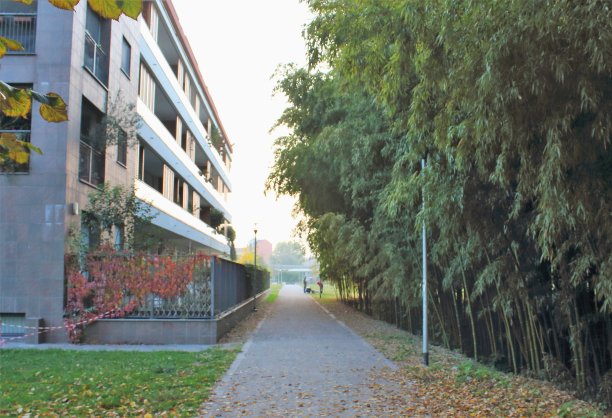 意大利米兰，城市中的现代建筑图片下载