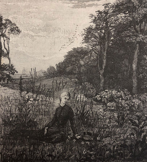 一幅古老的插图——一个女人坐在草地上，倚着一只手——树在背景中——鸟儿在天空中图片下载