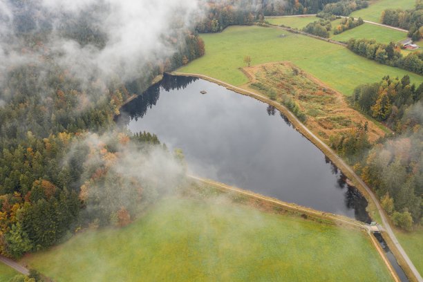 图片的风景在巴伐利亚森林和水库在grosß armschlag附近Grafenau，德国图片下载