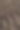 匈牙利北部埃格尔中心的老酒窖里的几瓶葡萄酒图片下载