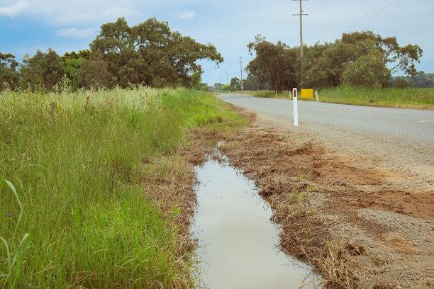 水坑和长草旁边的乡村道路图片下载