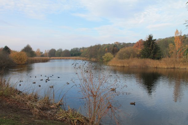 波兰格但斯美丽的里根公园。图片下载