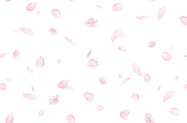 无缝图案背景花瓣与樱花分散。水彩插图。图片下载