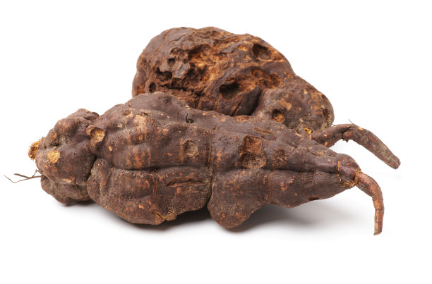 中药何首乌图片下载