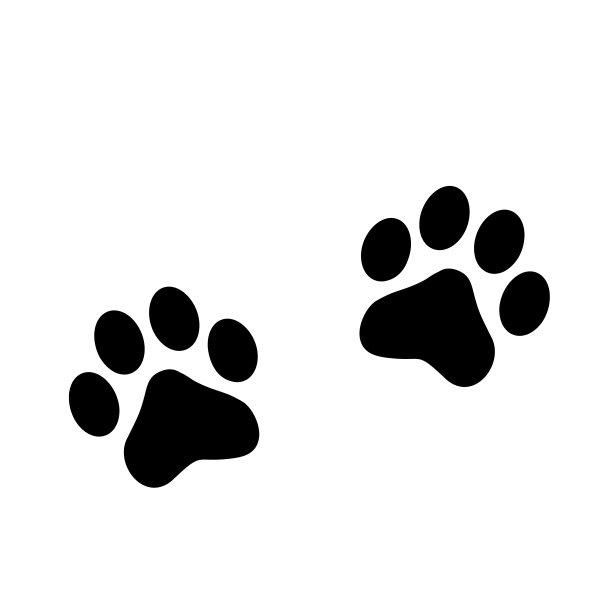 爪印的宠物图片下载