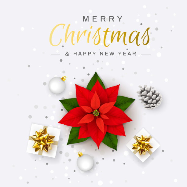 圣诞快乐，恭贺新禧。一品红红色的花。圣诞夜。圣诞节的象征。假期花明星。礼品盒，五彩纸屑，金属丝，圣诞球，松果图片下载
