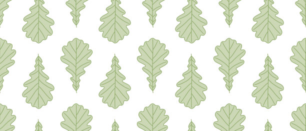 橡树绿叶背景图片下载