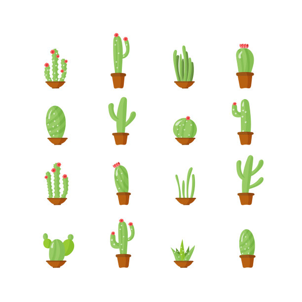 仙人掌房子植物图片下载