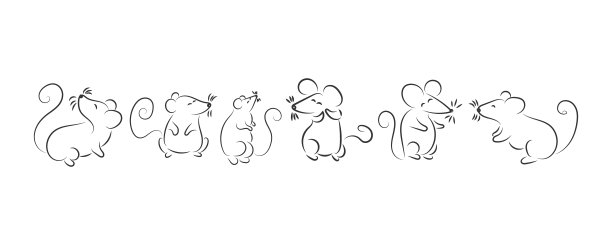 老鼠,老鼠涂鸦图片下载