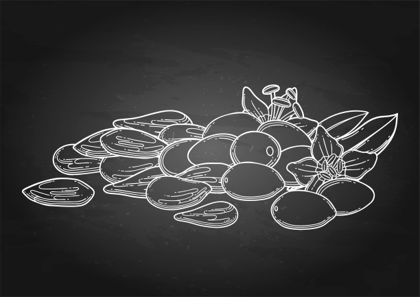 一堆新鲜和干燥的枸杞。图片下载